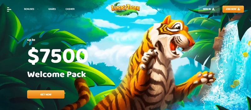 lucky tiger